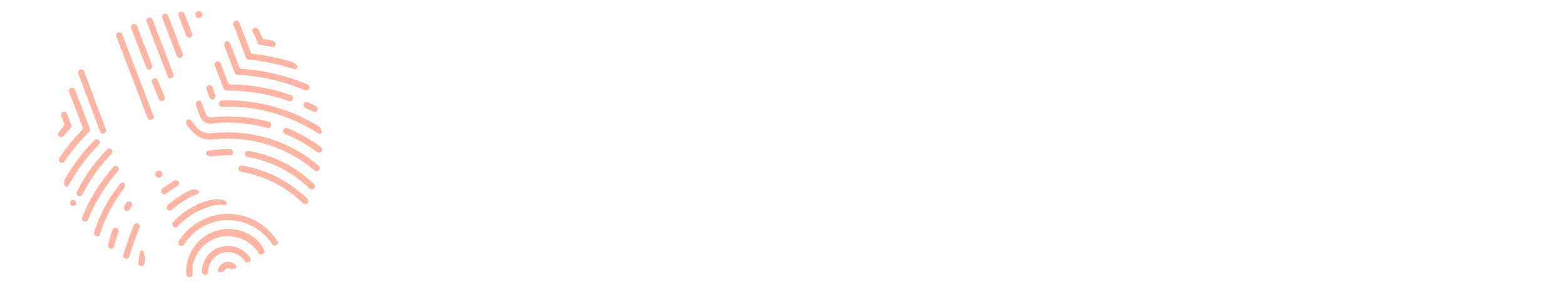 Koi Collective